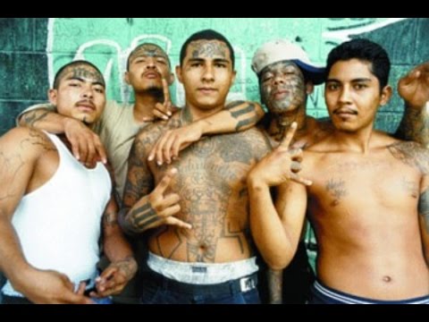 California: Safe Haven for Criminal Aliens