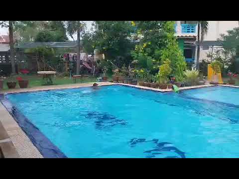 Allan Gypsy Mackay - Working out at View Dee Towers Pool