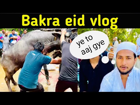 Bakra eid vlog || Eid ul adha