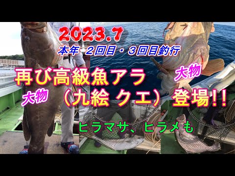 Ara (Kue KUE) Fishing Part④ 4K Kyushu Nagasaki Hirado Goto Offshore 2023.07