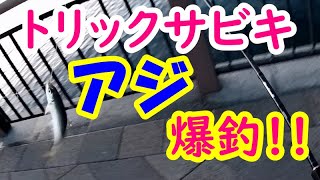 トリックサビキで、いいサイズのアジが爆釣！！