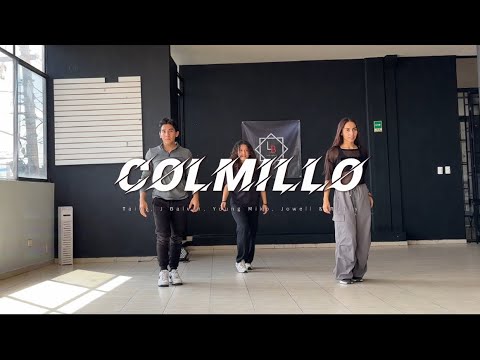 COLMILLO- J BALVIN , TAINY / LB DANCE COMMUNITY