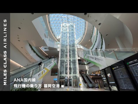 ANA Domestic Flight | Fukuoka Airport (Fukuoka Hakata Airport) FUK