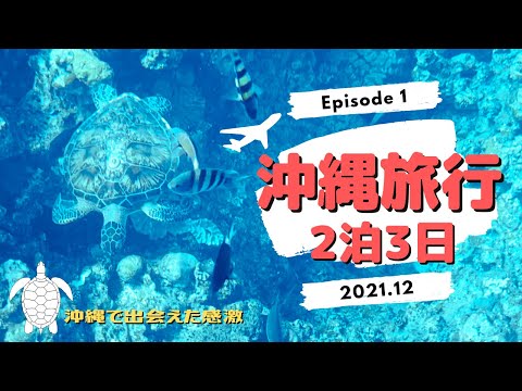 沖縄旅行 2021 VLOG 2泊3日 EP1 ☆ウミガメと出会えた沖縄☆