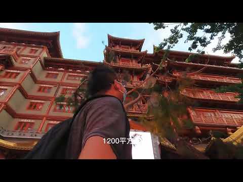 寻找闹市中的一方净土，现实中的千与千寻广州大佛寺  #旅行  #旅行vlog  #热爱生活  #广州  #广州塔  #寺庙