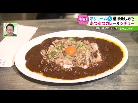 ボリューム満点！選ぶ楽しみも！冬こそオススメ！カレー＆シチュー【どさんこワイド179】2024.11.19放送