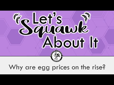 Let’s Squawk About It (S4 E2): Why are egg prices on the rise?