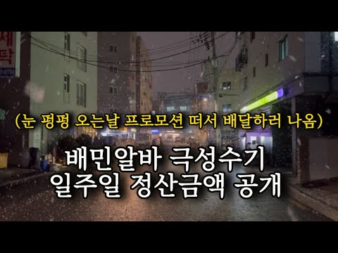 배민커넥트 뚜벅이 알바 프로모션 특수로 돈 왕창벌기💵