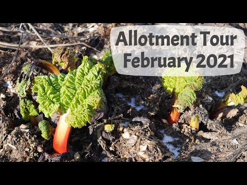 February Allotment Tour 2021 - Tasks Done, February Allotment Jobs, 2021 Growing Plan