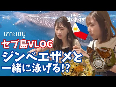 [フィリピン・セブ]タイのバンコクから４時間で行けちゃう！ジンベエザメと泳げるセブ島！レチョン美味しすぎてセブ島移住もあり。笑 Swimming with whale sharks at CEBU