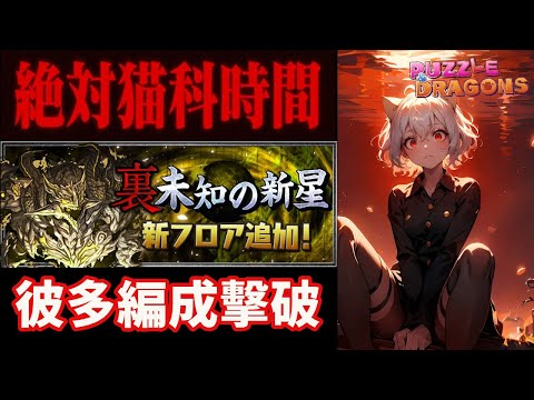 裏億兆擊破 尼菲彼多(ネフェルピト)武裝低難度編成/解說 | PAD パズドラ 龍族拼圖