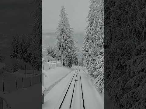 Zakopane Poland "Beautiful in White of Snow"