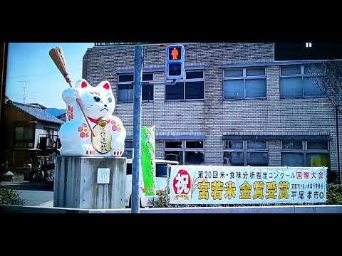 追い出し猫🐱～宮若市