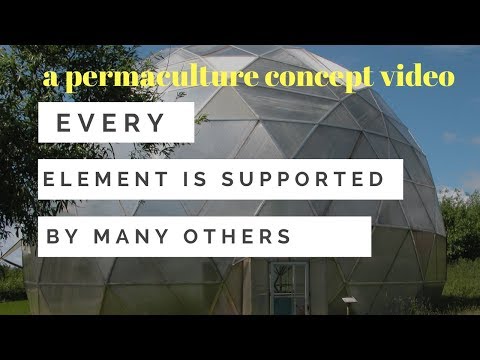 Every Element is Supported by Many Others - A Permaculture Concept Video