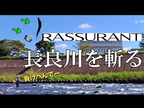 鮎釣り  軟竿はやっぱりよく釣れる説【ラシュラン】