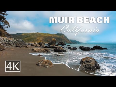 [4K] Muir Beach - California - Walking Tour