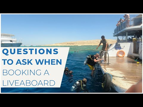 Questions to Ask When Booking a Scuba Liveaboard