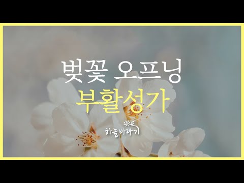 봄봄봄이 왔네요 예수님 부활과 함께 그때 약속 그대로