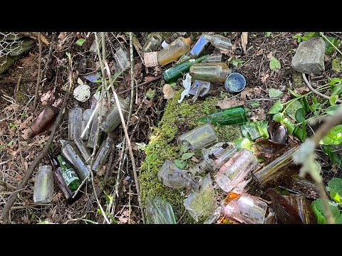 Finding Old Bottles In The Woods | Dump Digging.