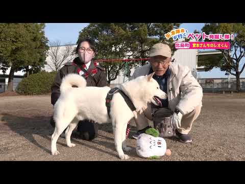 【あのCMのワンちゃん】矢本隊員が行く！ペット発掘し隊【北海道犬】