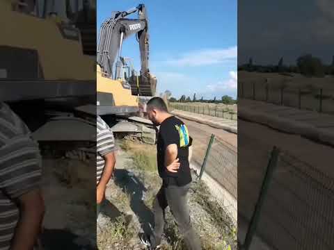 Saved a cow #comedy  #excavator #construction