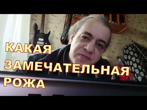 КАКАЯ ЗАМЕЧАТЕЛЬНАЯ РОЖА 🙂🙂