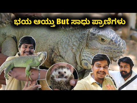 ಈ ತರ ಪ್ರಾಣಿಗಳನ್ನ ನೋಡೆ ಇರಲಿಲ್ಲ..😳 | Prani - The Pet sanctuary | Likhith Shetty Vlogs