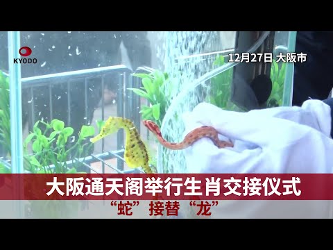 大阪通天阁举行生肖交接仪式 祝愿世博会排起长队