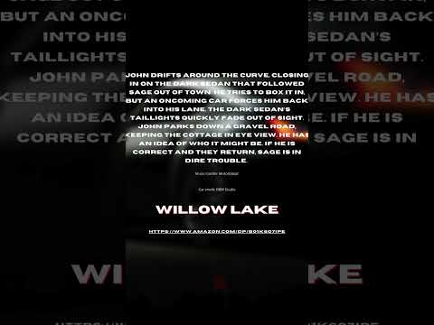 Willow Lake- A Mystery Suspense Novel #booknerd #mystery #romanticsuspense #suspensestories