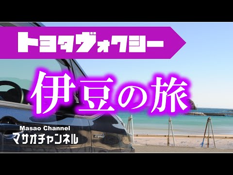 【旅】伊豆の旅。トヨタヴォクシーに乗って…。途中車中泊をしたり。TOYOTA VOXY【下田ビューホテル】