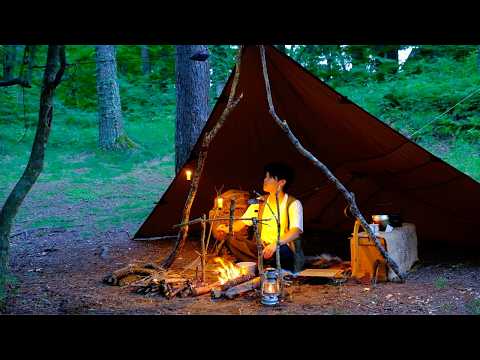 Bushcraft Camping Alone in Forest (tarp shelter / car camping)