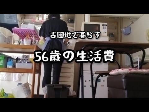 【50代ぼっち女の日常】8月の生活費＆内訳/過敏性腸症候群（チャプターあり）