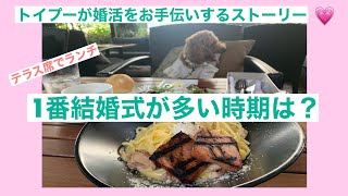 秋晴れの午後。素敵なテラス席でワンちゃん🐶とランチ！お店は、アンカーポイントさん。