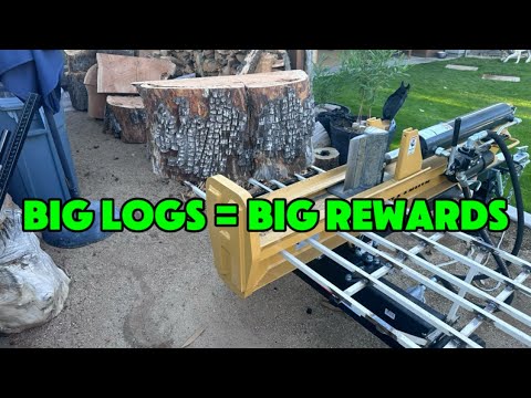 Turning Massive Logs into Firewood!