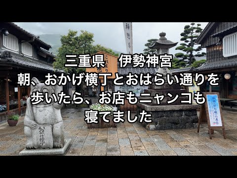 【三重】伊勢神宮。朝におかげ横丁とおはらい通りを歩いたら、お店もニャンコも寝てました【mie】