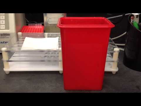 Blood Bank-Antibody Screen (Prewarm Technique)