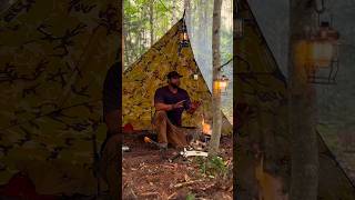 Tarp shelter Wild adventure #solowildcamping #camping #solocamping #solocamp #tarpshelter #asmr