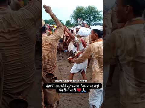 वेढा वारीचा 🚩 abhang #abhang #bhajankirtan #marathi