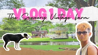 Vlog : The Scenery Vintage Farm สวนผึ้ง ราชบุรี