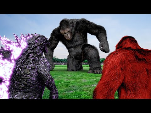 Red Kong VS Kong VS Godzilla : Who Is The King Of Monster? | The New Empire VS Jurassic Park #2024