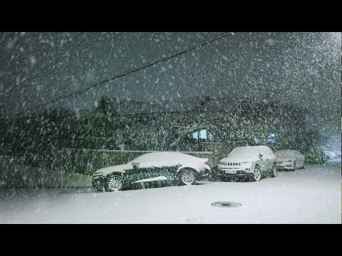 Snowstorm SEOUL, Heavy Snow Seoul Seocho-gu Bangbae-dong, Snow Asmr Ambience, Seoul Travel Walker.