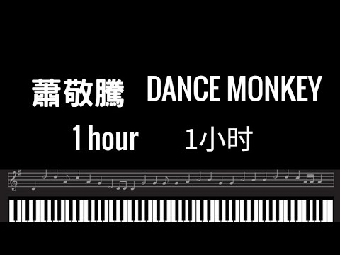 蕭敬騰舞猴 1小时DANCE MONKEY Piano cover 蕭敬騰舞猴 蕭敬騰鋼琴音樂 舞猴鋼琴曲 舞猴蕭敬騰 蕭敬騰Piano cover 萧敬腾舞猴 萧敬腾钢琴音乐 舞猴钢琴曲 舞猴萧敬腾