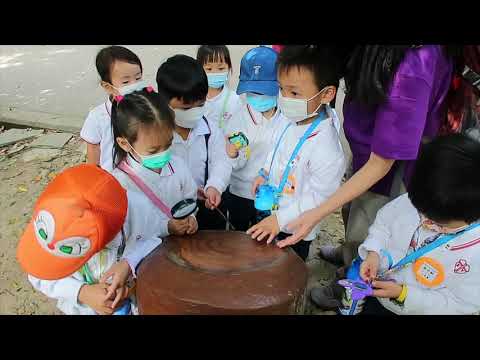 【20-21年度】低班參觀香港仔郊野公園