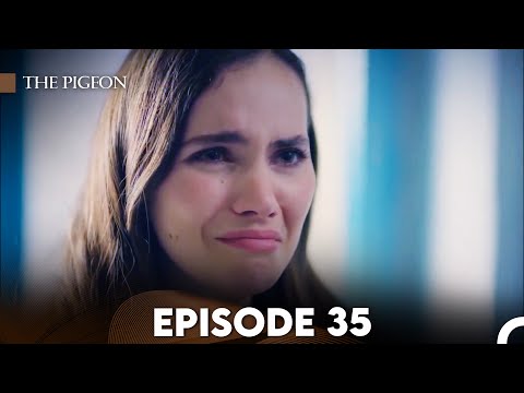 The Pigeon Episode 35 (FULL HD)