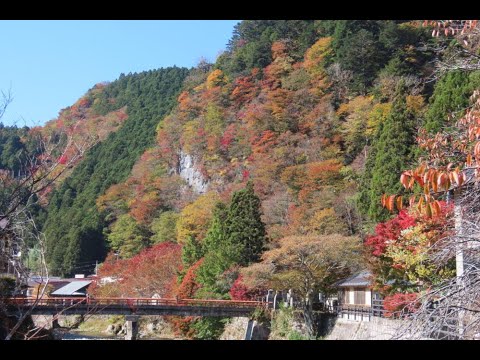 洞川・龍泉寺の紅葉 2024.11.13