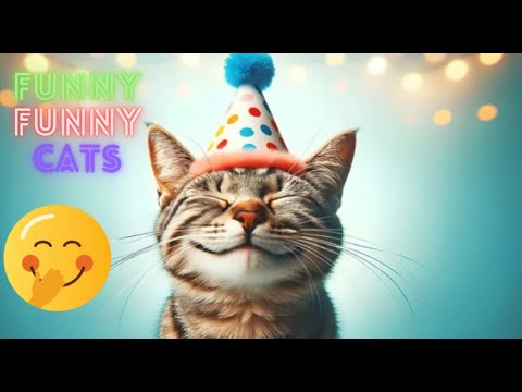 Funny Cat Videos Try Not To  Laugh 😺 Funny Cat Videos On Youtube 😂 Cat Funny Videos 😹😹 Part 113