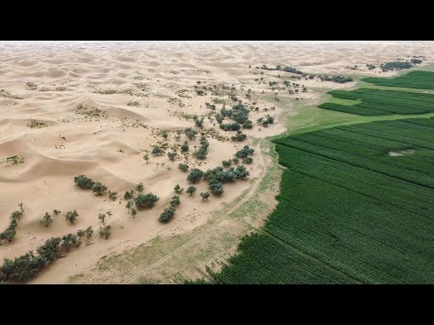 中国治沙成就领先全球，说说全国八位治沙英雄的传奇故事