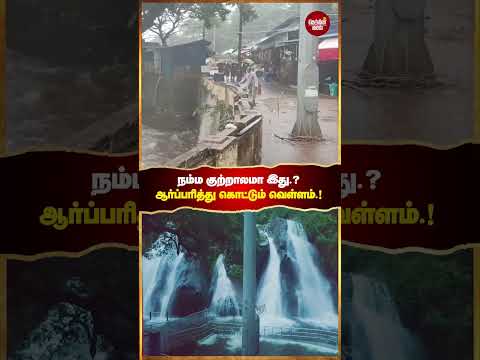 குற்றாலத்தில் ஆர்ப்பரித்து கொட்டும் வெள்ளம்.!