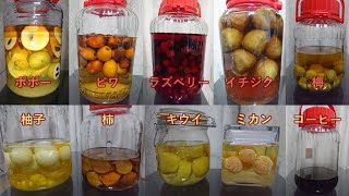 あらゆる果実酒を作って比較してみた