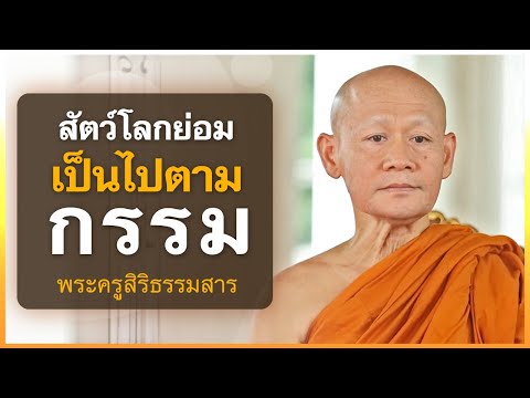 สัตว์โลกย่อมเป็นไปตามกรรม | พระครูสิริธรรมสาร